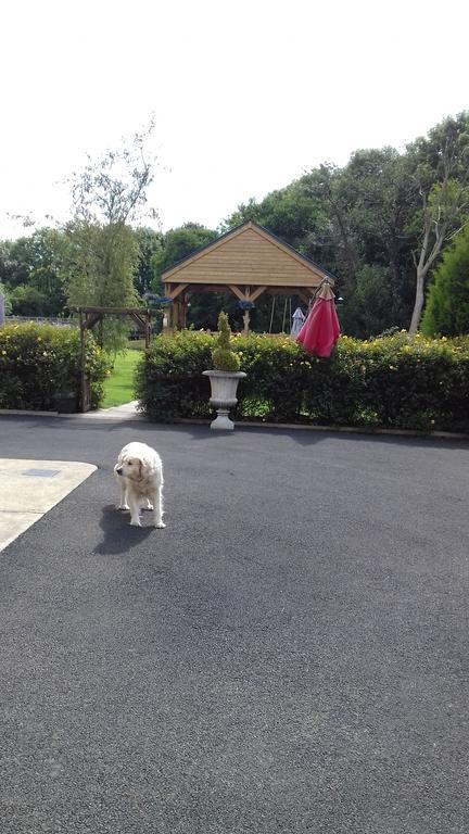 Woodlands House Bed & Breakfast Farranfore Luaran gambar